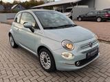 Fiat 500 1.0 Dolcevita Mild Hybrid *Pano*PDC*Carplay* - Fiat 500 Gebrauchtwagen