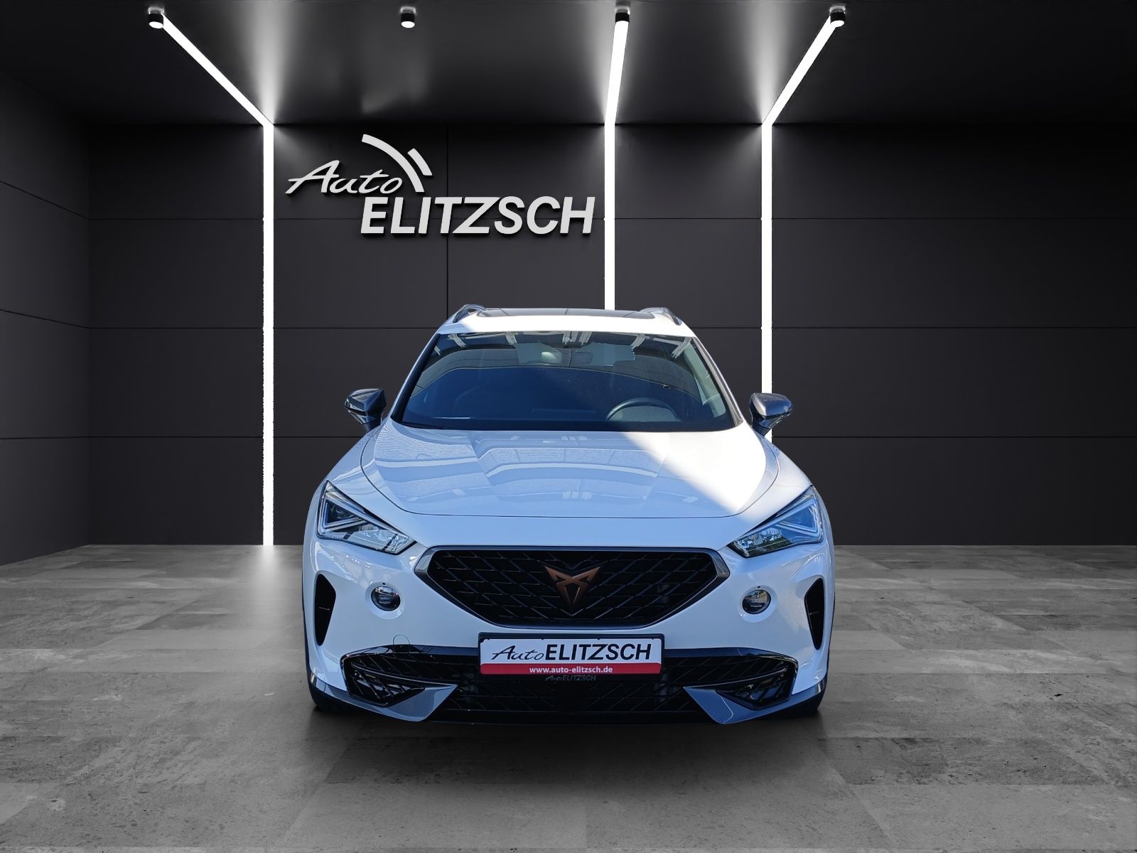 Fahrzeugabbildung CUPRA Formentor TSI DSG 4Drive LED Pano ACC RFK SH 19"