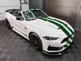 Ford Mustang GT V8 Dark Horse Look COC 5.0 EU Model - Ford Mustang in Essen