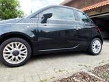 Fiat Stilvoller Fiat 500 mit einzigartigem Camouflage - Fiat 500: Kleinwagen, F