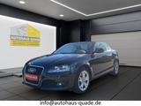Audi A3 Cabriolet Ambition Leder Mehrzonenklima SHZ P - gebrauchte Audi A3 aus dem Jahr 2009