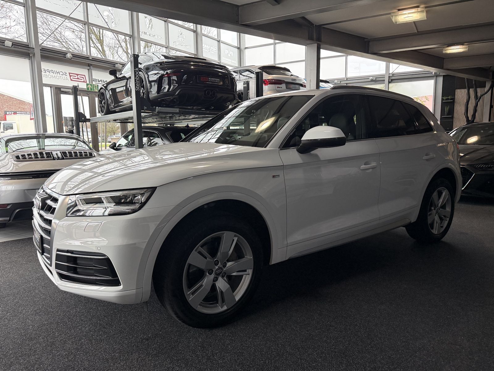 Fahrzeugabbildung Audi Q5 40 TDI qu. Sport S-LINE|NAVI|R-KAMERA|PANO