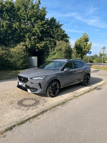 Otros Cupra Formentor 1.5 TFSI DSG