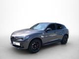 Alfa Romeo Stelvio Quadrifoglio 510 PS Schiebedach Assisten - Alfa Romeo mit Benzin-Antrieb