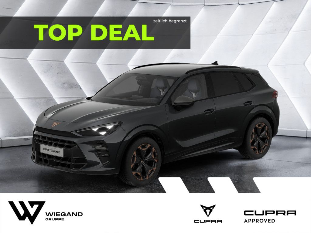 Image of Cupra Terramar