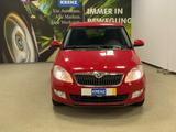 Skoda Fabia PDC+SITZ-HEIZ+ALU - gebrauchte Skoda Fabia aus dem Jahr 2014