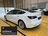 Tesla Model 3 Rear-Wheel Drive - Tesla Model 3 Gebrauchtwagen in Frankfurt