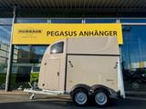 Humbaur Pegasus Style 2-Pferdeanhänger 2,4t Neu Vollpoly - Pferdeanhänger Vollpoly