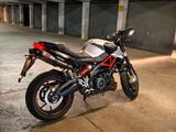 Aprilia Shiver 900 Top Zust. HU/AU frisch, großer Servic - APRILIA SHIVER 900