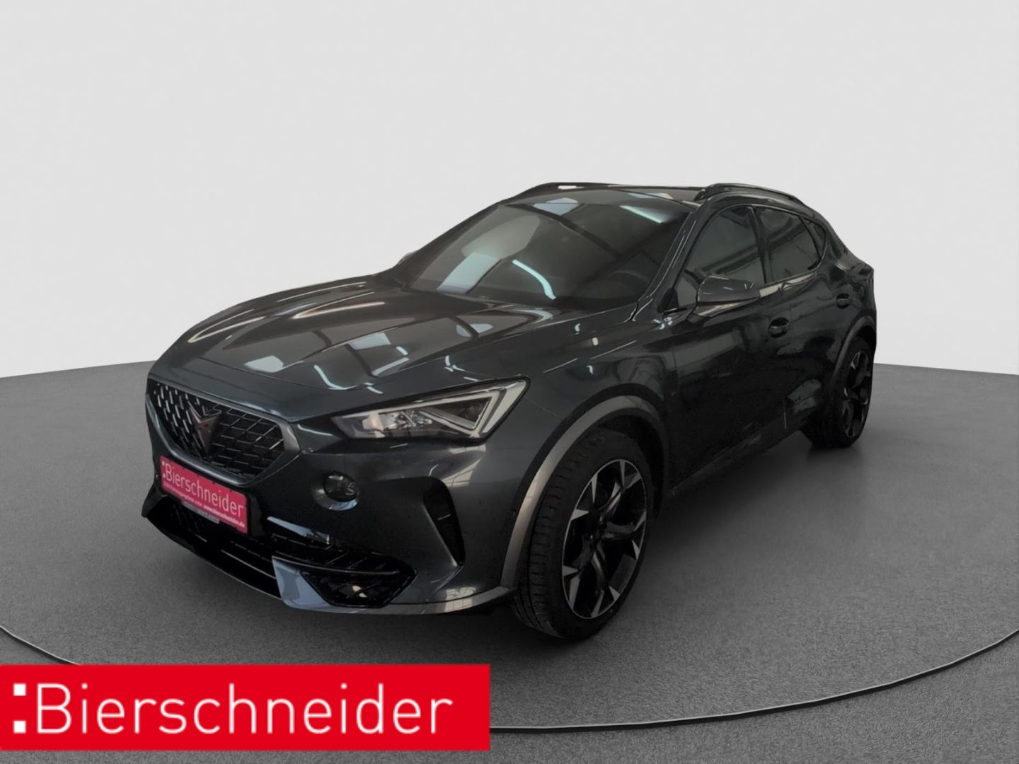Cupra Formentor VZ 2.0 TSI DSG 4Dr. ab 499,- mit 990,-