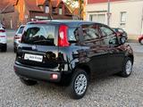 Fiat Panda 1.2 Easy Klima 2.Hand TOP Scheckheft Euro6 - Fiat Panda: 2t