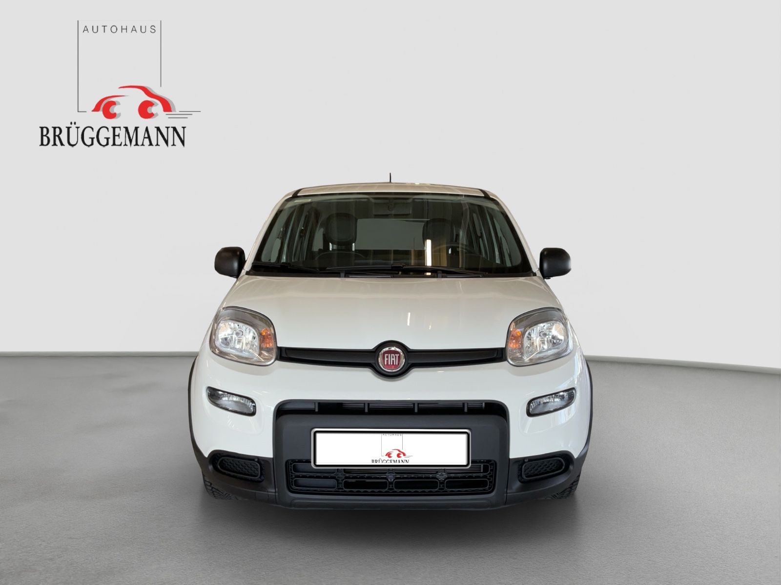 Fahrzeugabbildung Fiat Panda 1.0 GSE Hybrid + Komfortpaket