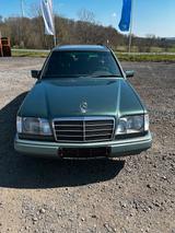 Mercedes-Benz Mercedes W124 300TD Allrad - Mercedes-Benz 300: Kombi, 300td