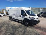 Fiat Ducato Kastenwagen 35 180 M L4H2 LED Kamera - Fiat Ducato: Kastenwagen