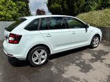 Skoda Rapid 1.0 TSI Ambition / Sonderausstattung Drive - Skoda Rapid: Drive