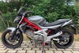 Suzuki SFV650 mit ABS! 50mm Tiefergelegt! - Offers matching your search criteria