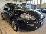 Fiat Punto Easy1,2-Klima-Navi-Alu-Tüv/Au neu-49000 km - Fiat Punto: 1.4