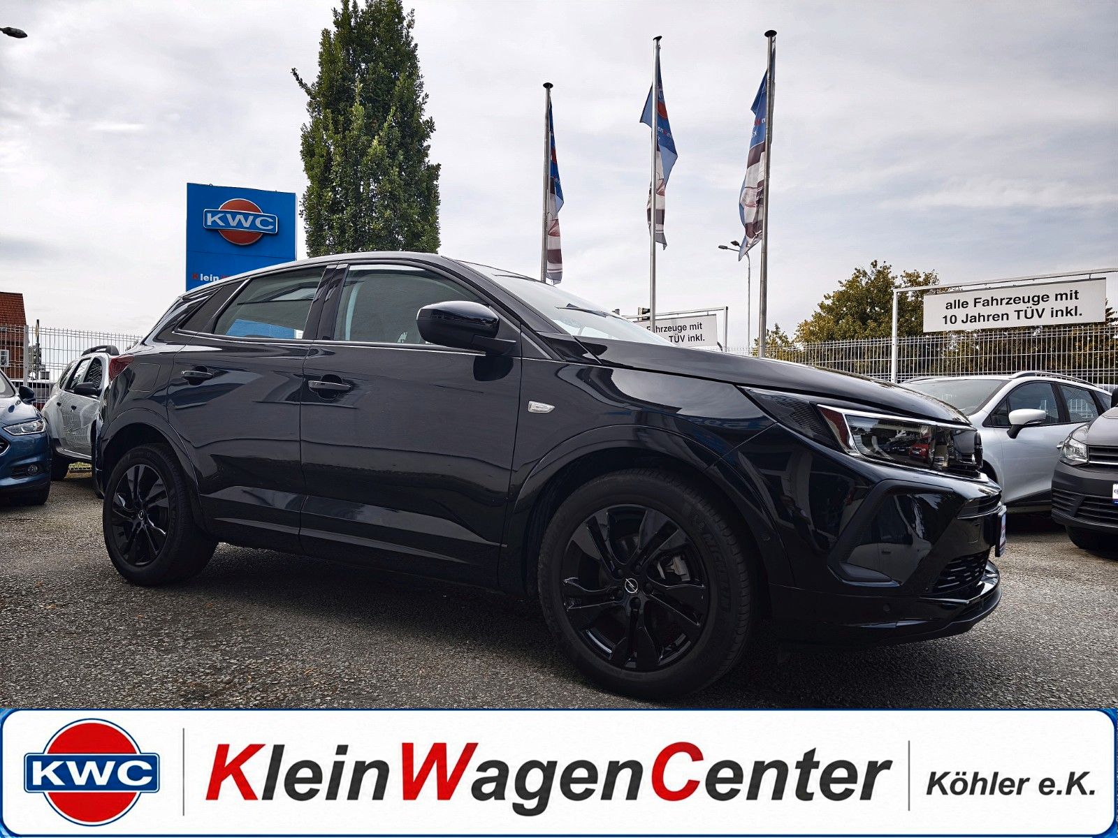 Opel Grandland (X) GS Line+Navi+Kam+Temp.+beh.Lenkrad
