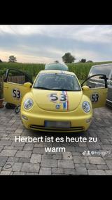 Volkswagen Verkaufe VW Beetle Herbert t - gebrauchte VW Beetle aus dem Jahr 2002