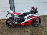 Yamaha R6 RJ11 - YAMAHA WEIß