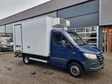 Mercedes-Benz Sprinter 516 CDI Kuhlkoffer -32+22/ TK500 MAX/ L - Offers