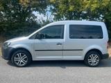 Volkswagen VW Caddy 1.6 TDI LKW-Zul. *Klima"Navi*8-fa... - Volkswagen Caddy: Lkw