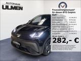 BYD Dolphin Surf Comfort  Leder Navi Sitzheizung DAB - BYD Gebrauchtwagen in Düsseldorf