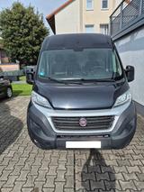 Fiat Ducato Maxi lang hoch - Fiat Ducato: Lang