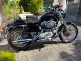 Harley-Davidson Sportster 883 XL Custom - HARLEY-DAVIDSON SPORTSTER XL 883 C CUSTOM