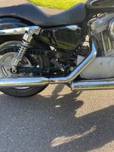 Harley-Davidson XL 883 C Sportster mit Miller Abgasanlage - HARLEY-DAVIDSON 883 SPORTSTER