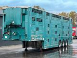 Pezzaioli 3.Stock Cattle-Cruiser Hals+Tiefbett Typ2 - Tieflader Tiefbett