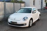 Volkswagen VW Beetle / Käfer - Volkswagen: Limousine, Kaefer