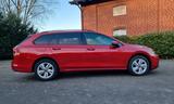 Volkswagen Golf 8 Variant 1.0 eTSI DSG IQ.Light - Volkswagen Golf mit Benzin-Antrieb: Kombi, 1.8