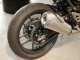 Triumph Speed 400 sofort verfügbar - TRIUMPH 4 SPEED