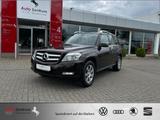 Mercedes-Benz GLK 220 CDI RENTNER AZN-Haus-Förderung* bis 1000 - Mercedes-Benz aus 2011: Gl
