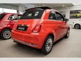 Fiat 500C 1.0 el.Verdeck PDC Klima Temp. Alu AppleCar - Fiat Tageszulassungen