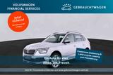 Skoda Kamiq Ambition Clever 1.0 TSI PDC*Klima*SH - Skoda Gebrauchtwagen in Troisdorf