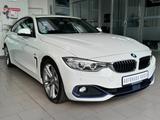BMW 420i GRAN COUPE+SPORT LINE+NAVI+ABSTEMPO+PARK-AS - BMW 4 Series: Gran