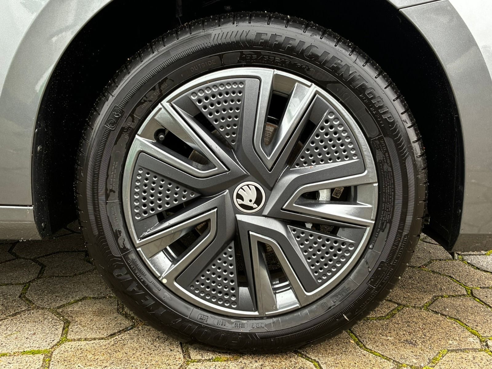 Fahrzeugabbildung SKODA Fabia 1.0 TSI Selection OPF