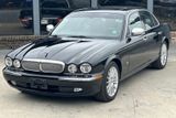 Jaguar XJ8 4.2 Liter Executive TÜV 05/27 - Jaguar XJ8: L