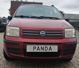 Fiat Panda 1.2 8V, Klima,Radio-CD, Lm, tüv 10/ 2027 - Fiat aus 2005