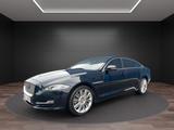 Jaguar XJ Portfolio 3.0 V6 Diesel Langversion Portfolio - Jaguar XJ mit Diesel-Antrieb: 3.0