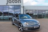 Volkswagen Beetle Cabriolet Exclusive Design, CC, BT, LEDER - Volkswagen Beetle: Roadster