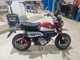 Honda Monkey Z125MA , nur 355 km, Neuzustand, 1. Hand - HONDA MONKEY