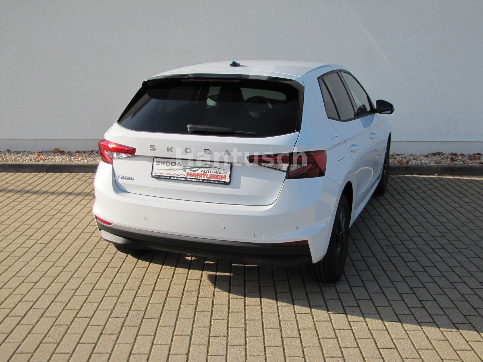 Fahrzeugabbildung SKODA Fabia Selection 1.0l TSI 95PS