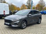 Ford Kuga Plug-In Hybrid ST-Line X AHK Winter-Paket