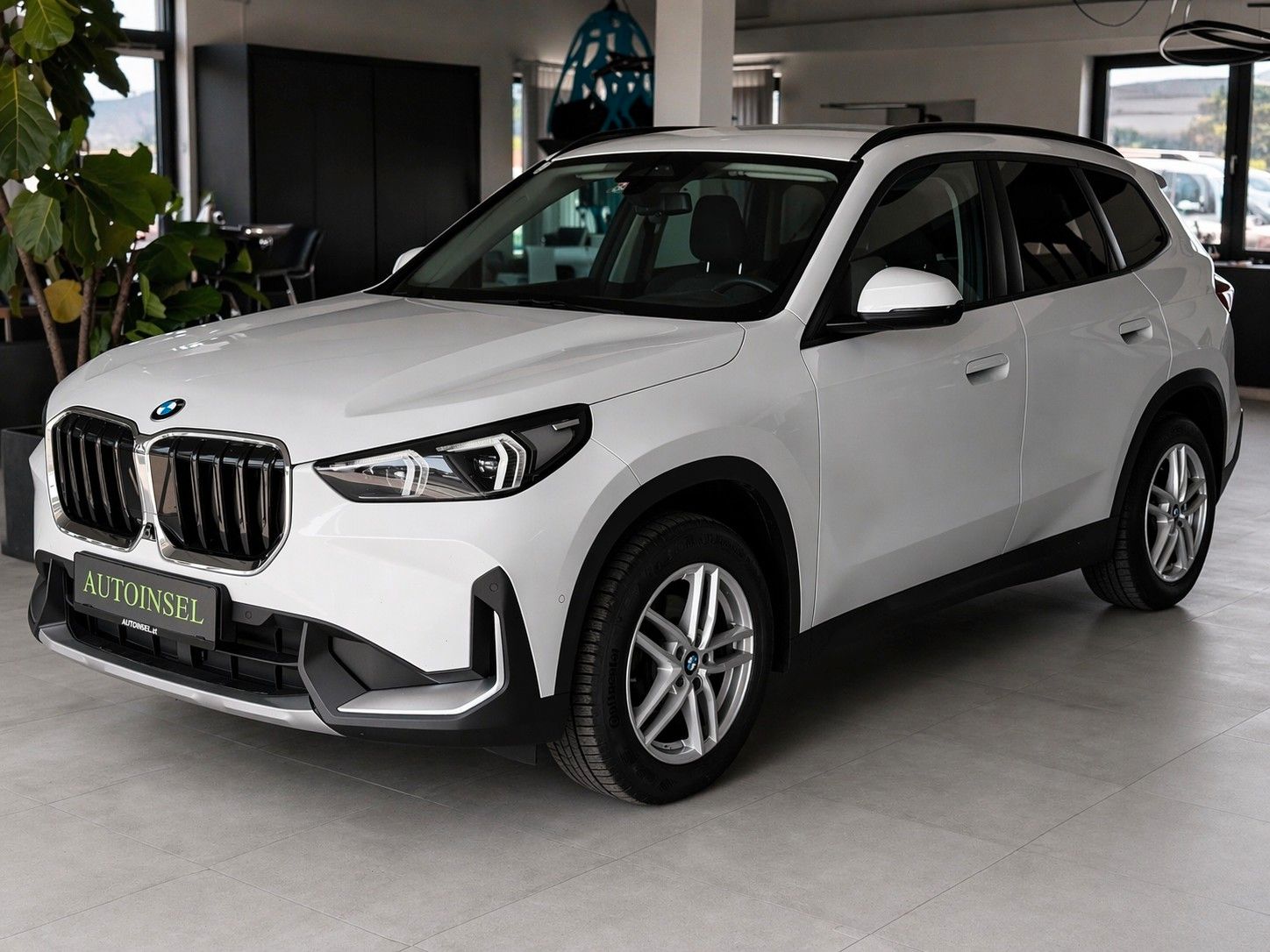 BMW X1 20 d xDrive Netto:€20.000