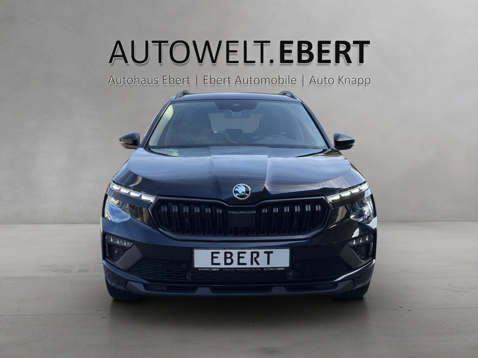 Fahrzeugabbildung SKODA Kamiq Balance 1,0 TSI 85 kW DSG AHK/MATRIX/ACC/
