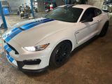 Ford Mustang Shelby GT350 GT 350 20tkm Tüv... - Ford Mustang: Gt350 Shelby