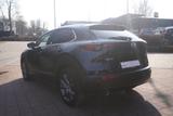 Mazda CX-30 2.0 M-Hybrid Selection 2WD LED Navi Kamera - blaue Mazda CX-30